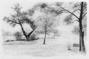 Naturaleza 2025 FP Pintura.jpg