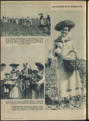 Campesinas recoletando algodón. 3 de octubre de 1936.jpg