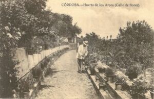 Huerta de los Arcos 2.jpg