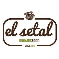 Logo - El Setal.jpg