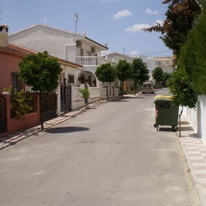 P6150046.JPG