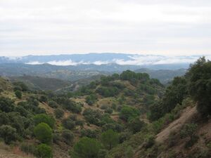 CerroMuriano(3).jpg