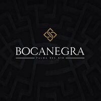 Logo - Bocanegra Palma del Rio.jpg