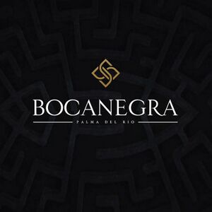 Logo - Bocanegra Palma del Rio.jpg