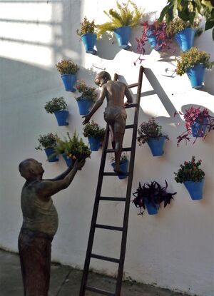 Colocando macetas Córdoba.jpg