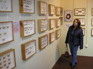 Museo de la ciencia Guadalcázar 6.JPG