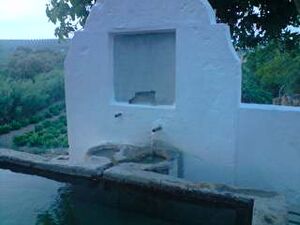 Fuente del Aljamil (detalle).jpg