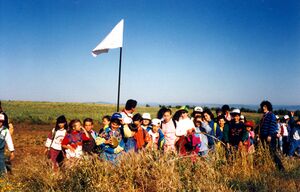 Ciguena6.jpg
