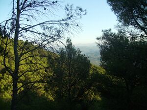 Fotos2007 146.jpg