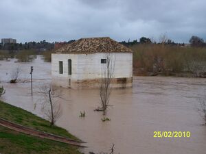Molino-Rio Guadalquivir-Cordoba.JPG