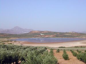 Laguna del Salobral 6.jpg