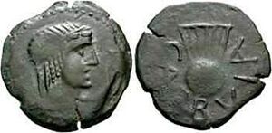 Carbula.jpg