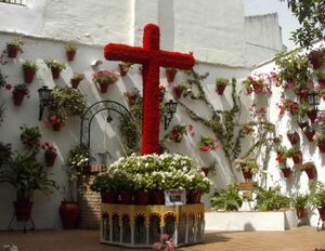 Escanuela 2011.JPG