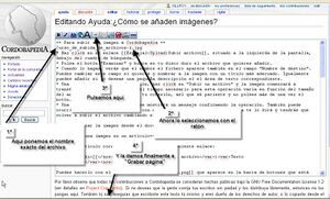 Curso de subida de archivos-2.jpg