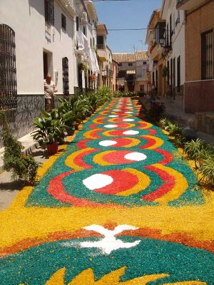 Calle ancha.jpg