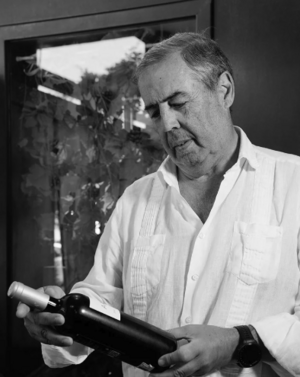 Fernando Villena Caballero