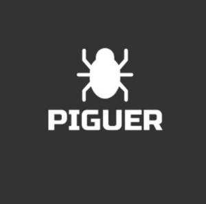 Logo - Piguer Technology Systems SL.png
