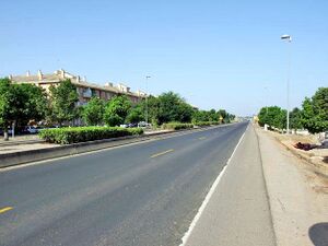Carretera de Palma del Río.jpg