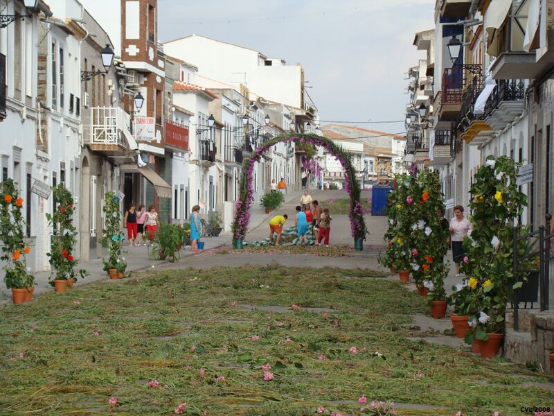 Archivo:Calles carmen 2.JPG
