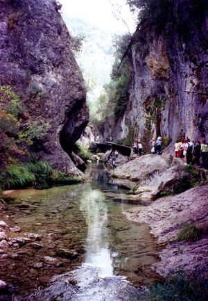 Ciguena21.jpg
