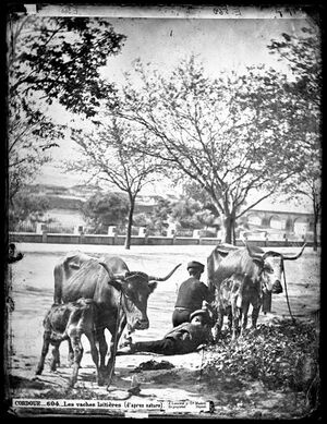 Niños vaqueros en el paseo de la Ribera (1860).jpg