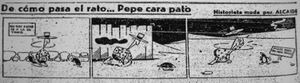 Carapato 1.jpg