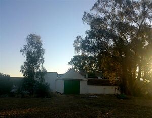 12102011885 (Large).JPG