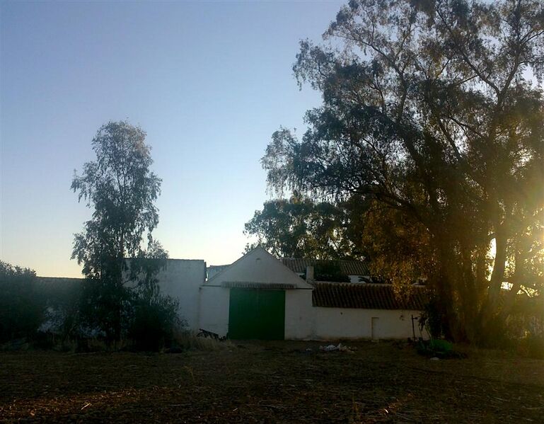 Archivo:12102011885 (Large).JPG