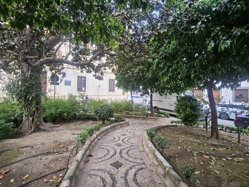 Archivo:20260423 201646.jpg