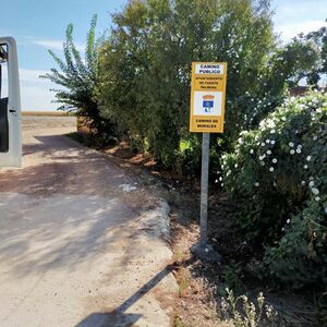 Camino de Morales Fuente Palmera.jpg