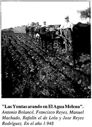 Agua Melena trabajadores Fuente Palmera siglo xx.JPG