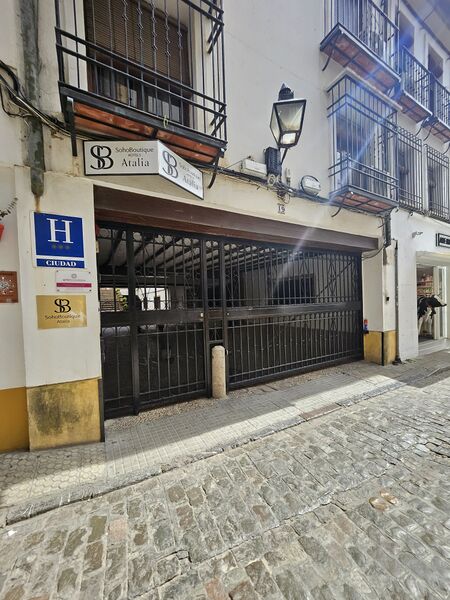 Archivo:20260423 115254.jpg