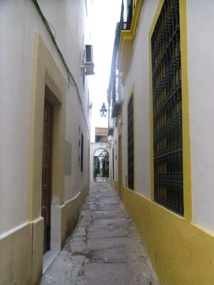 Calleja de los Ahumada.jpg
