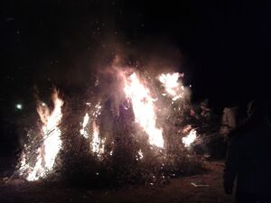 Candelaria-muriano-6.jpg
