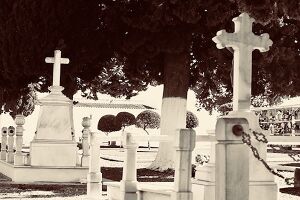 Cementerio-2019-Fuente-Palmera.jpg