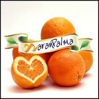 Logo - Naranpalma.jpg