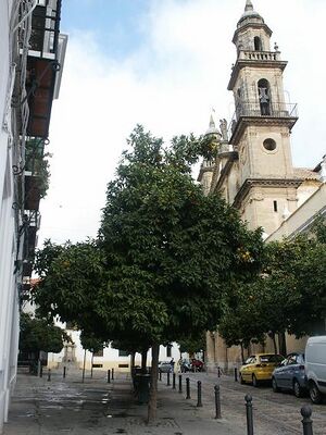 PzaSRafael01.jpg