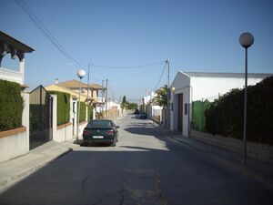 IMGP2452.JPG