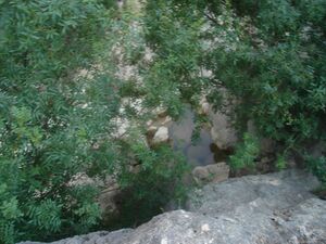 DSC01265.JPG