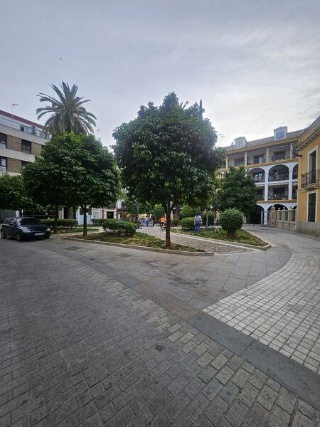 Archivo:20260423 200909.jpg