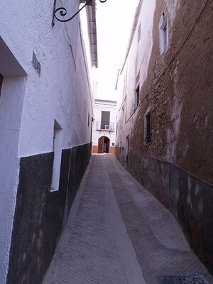 Crito de los camiantes3.jpg
