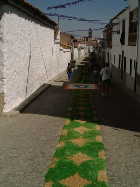 Archivo:Alfombras S. Roque.jpg