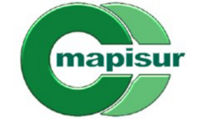 Logo - Mapisur SL.png