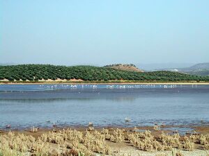 Laguna del Salobral 7.jpg