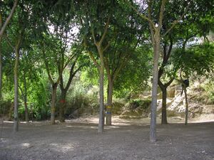 Paraje Huerta de Dios.jpg