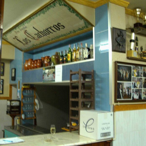 Archivo:Cachorro IX.jpg