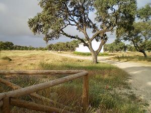 Entrada recinto Monte Las Pinedas.JPG