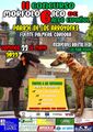 AConcurso morfológico galgo español, 2ª edición.
