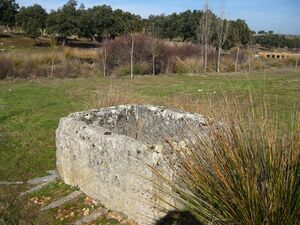 Pozo la perra.jpg