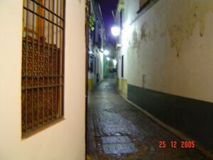DSC03137.JPG